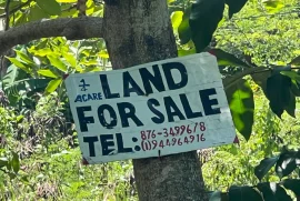 Land for sale in Huddersfield, St Mary, Jamaica